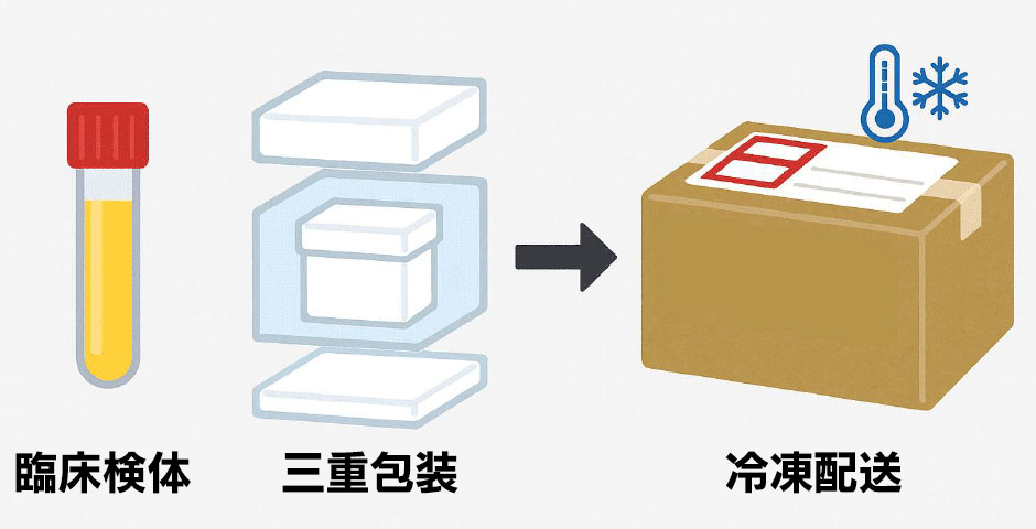 検体の送付方法