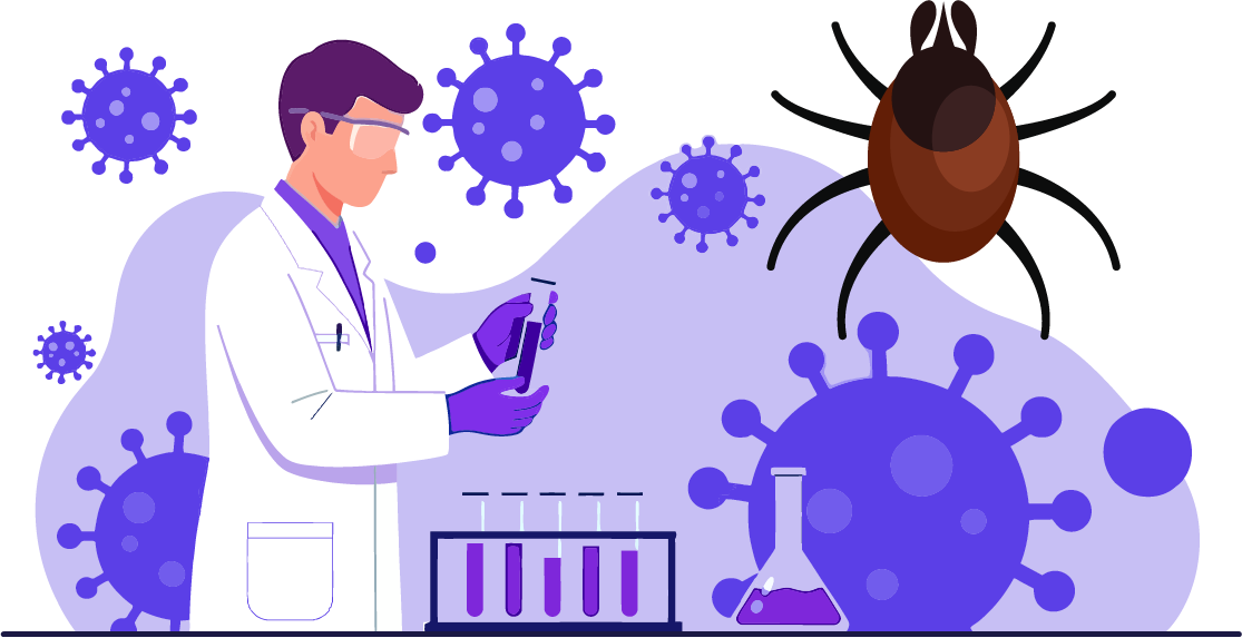分担研究 SFTSレジストリの構築 SFTS×SFTS