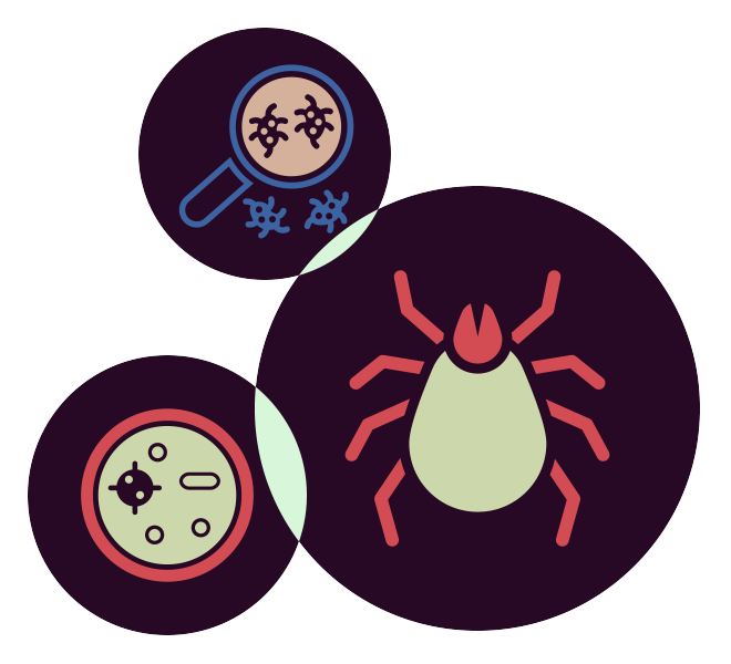 本研究の目的 挿絵