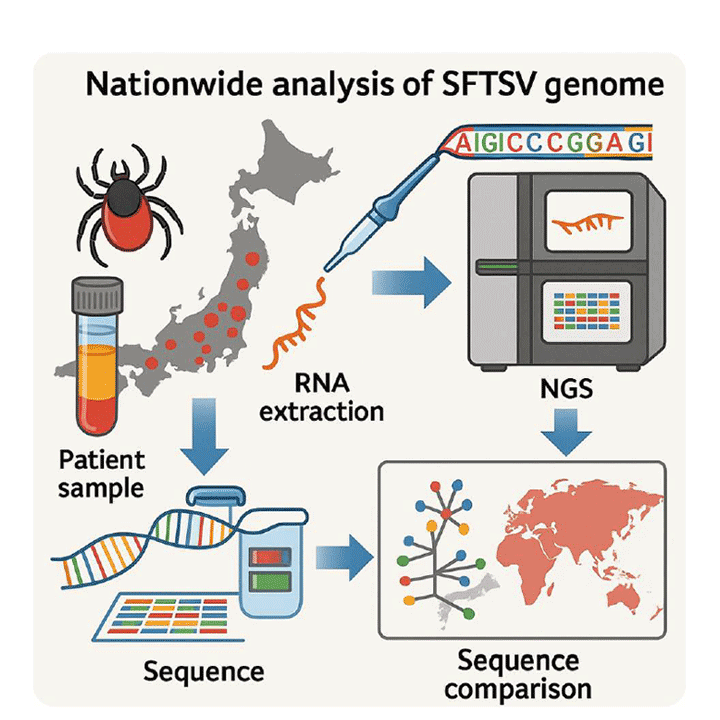 ウイルス解析のイメージ